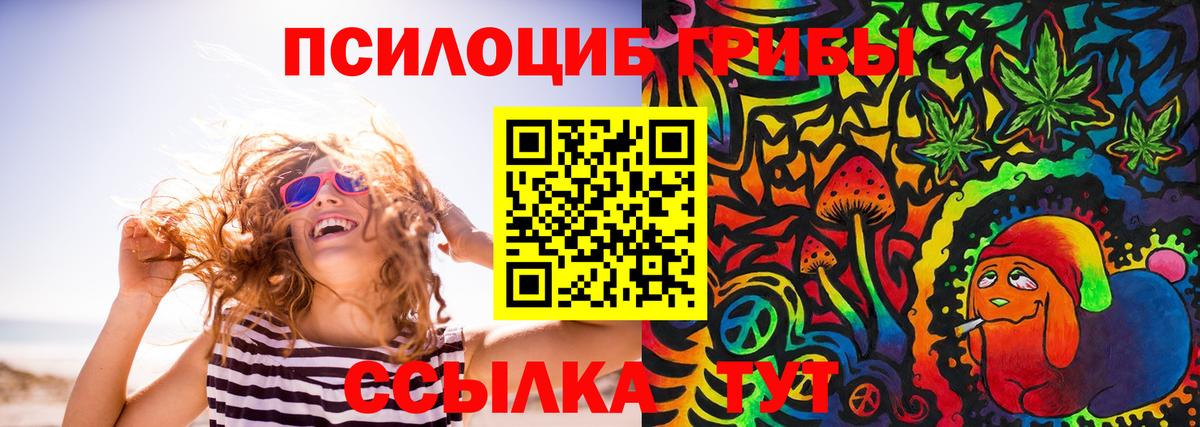 Зеленогорск  Галлюциногенные грибы MAGIC MUSHROOMS  Вход с VPN 
